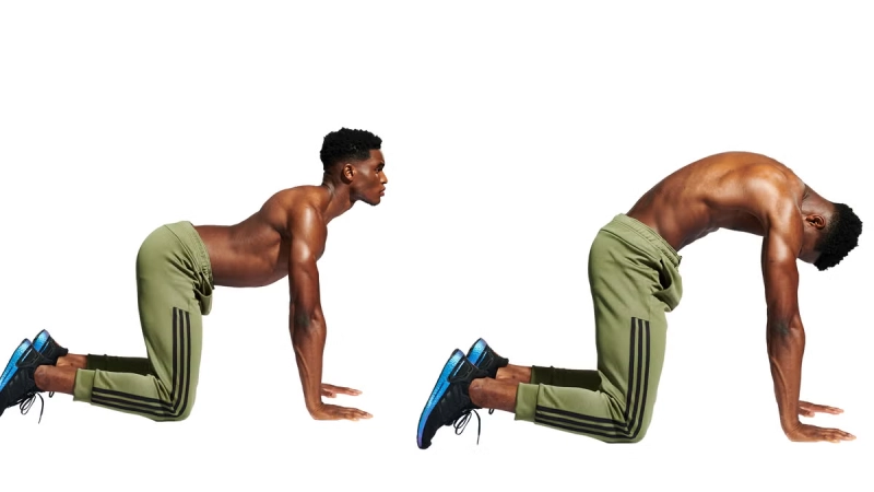 Cat-Cow Stretch for Spinal Mobility
