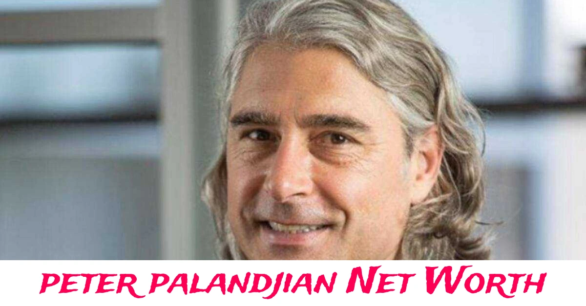 Peter Palandjian Net Worth and business career success